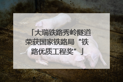 大瑞铁路秀岭隧道荣获国家铁路局“铁路优质工程奖”